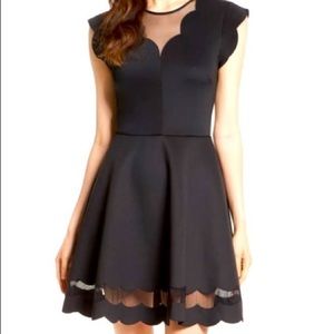 Ted Baker Mesh Scallop Dress Size 2